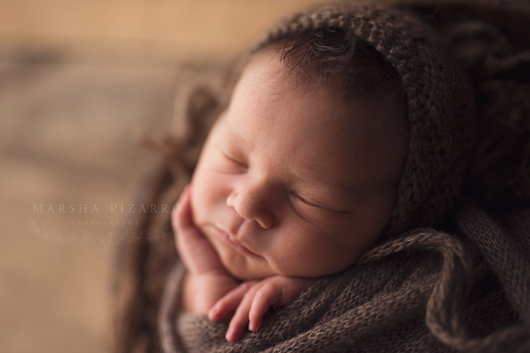 Sandra Hill Newborn Photos 