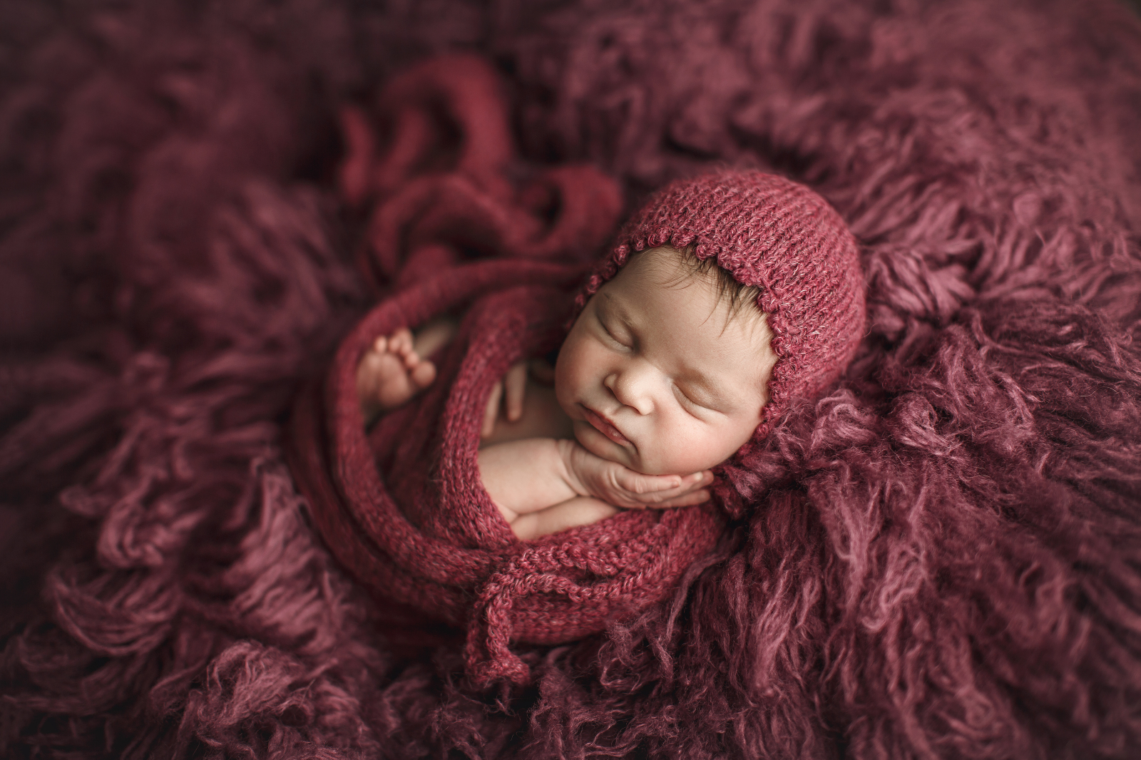 newborn photographer calgary