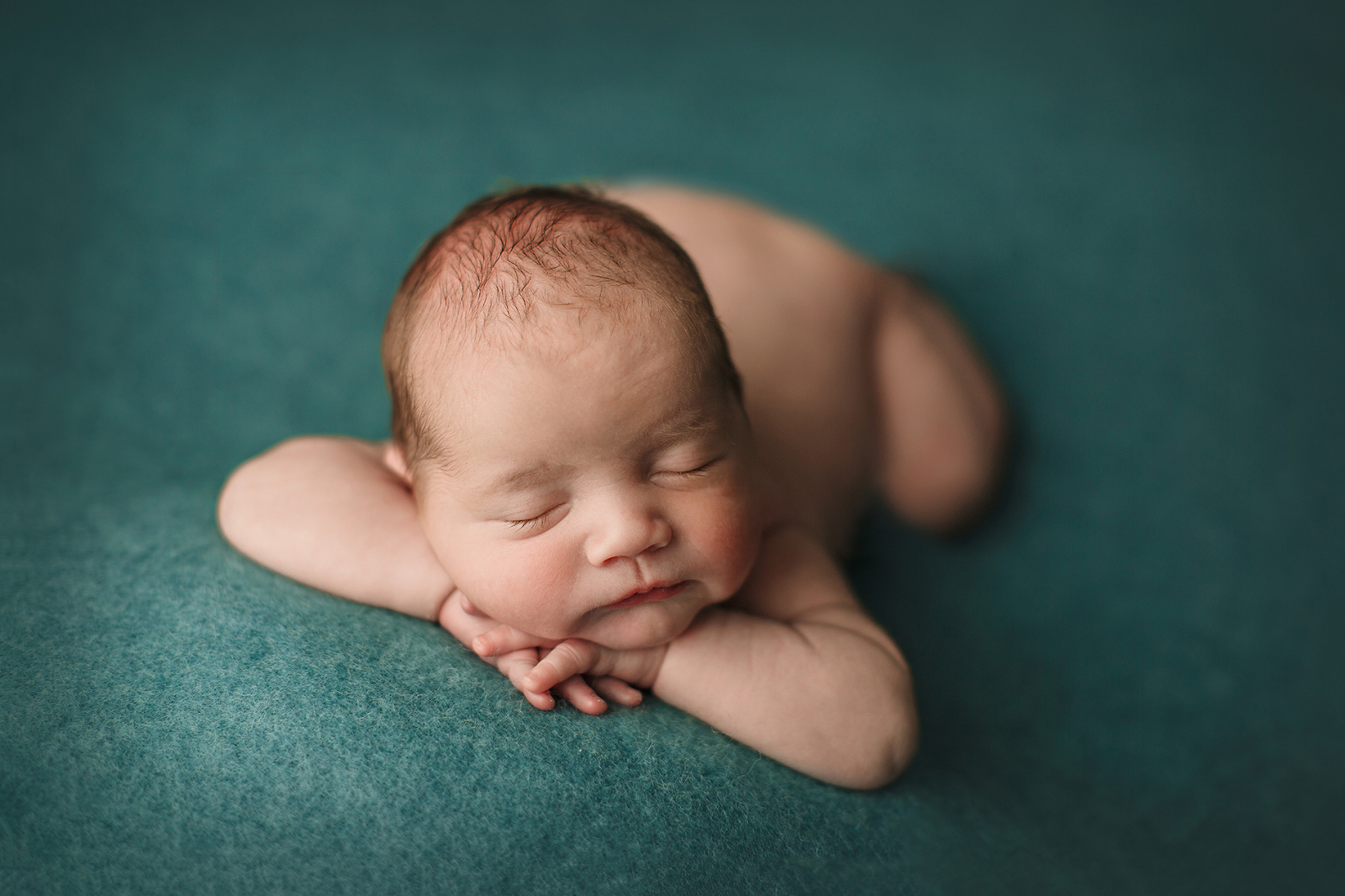 newborn photographer calgary
