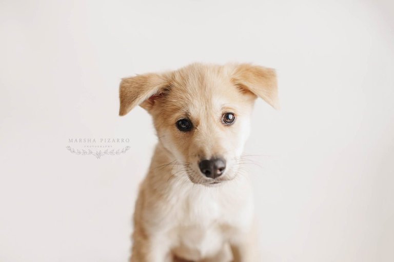 calgary photographer