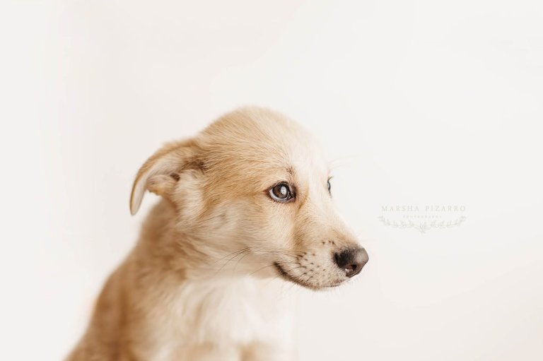 calgary photographer