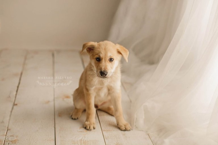 calgary photographer